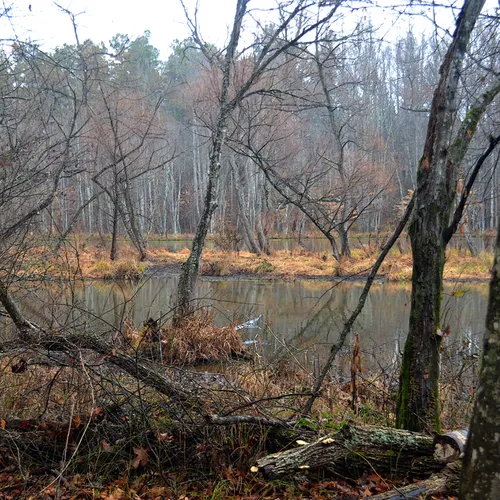 Coriher Park 1