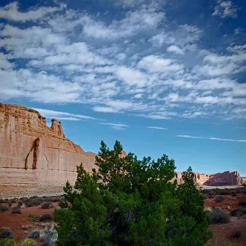Arches 15