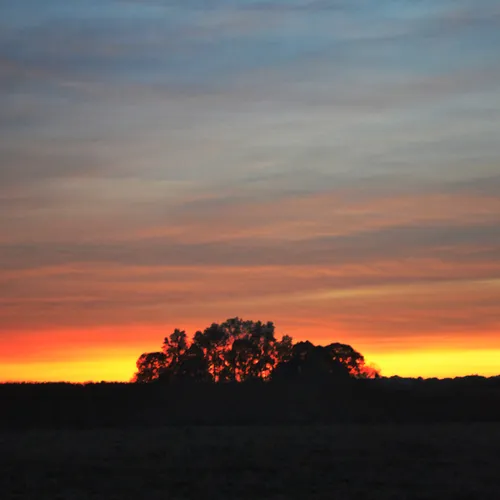 Sunset 6