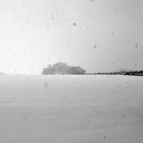 Yard Snow 17