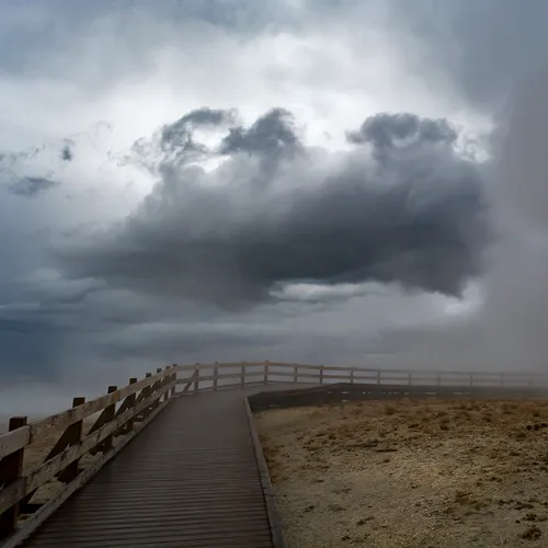 Yellowstone 41