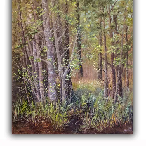Homestead Woods
