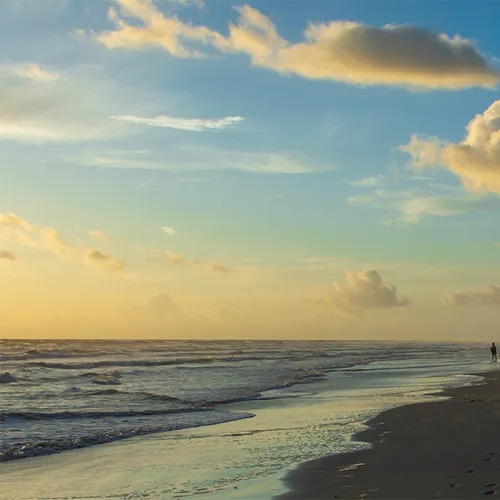Nsb 19