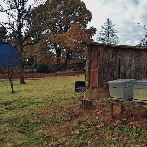 Beehives