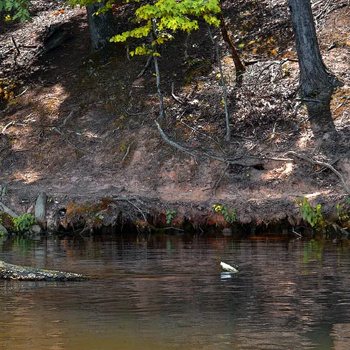 Yadkin-Peedee 36