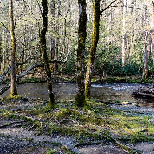 Abramefalls 6