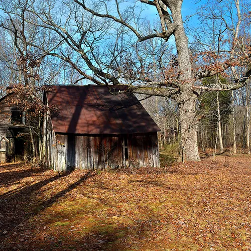 Uwharrie 5