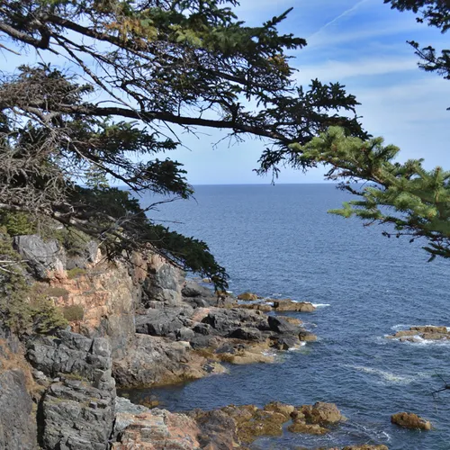 Acadia Shore 4