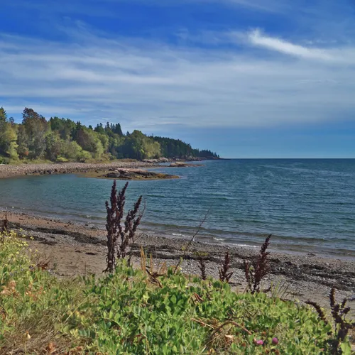 Acadia Pond 4