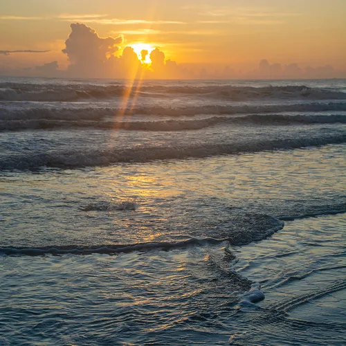 Nsb 40