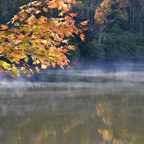 Lake-Fall 7