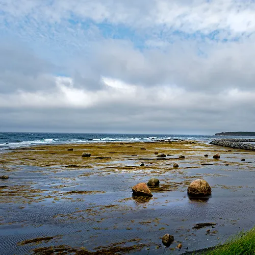 Newfoundlandport 14