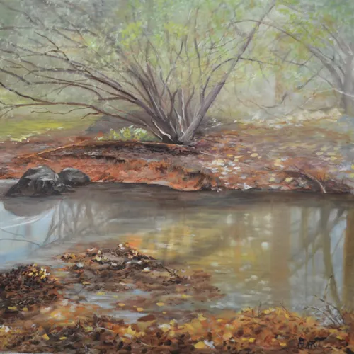 Our Creek