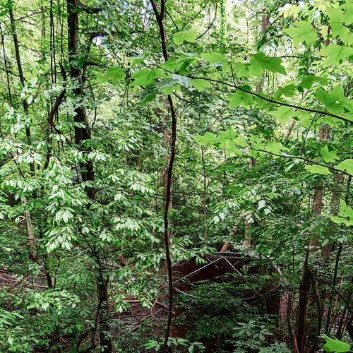 Kaymoor 6