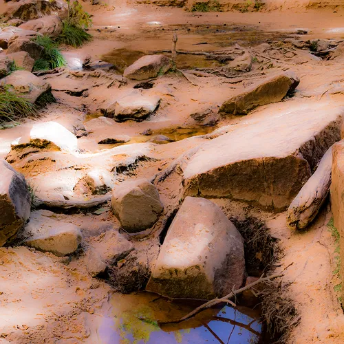 Zion 20