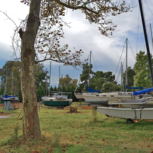 Sailboats 5