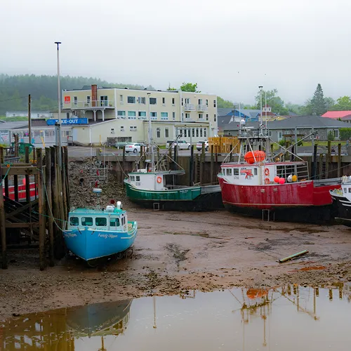 Newbrunswickalma 5