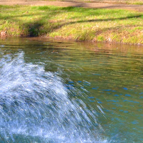 Fountain 3