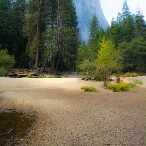 Yosemite 35