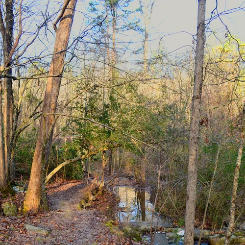 Uwharrie 3
