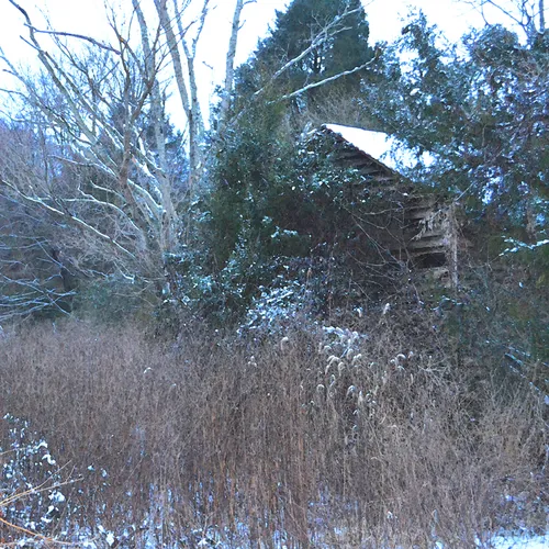 Snow 16