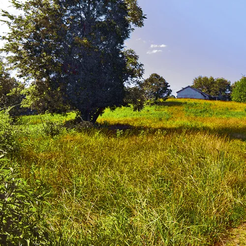 Point Rd Barn