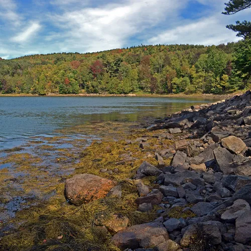 Acadia Pond 5