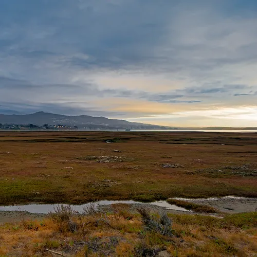 Morrobay 4