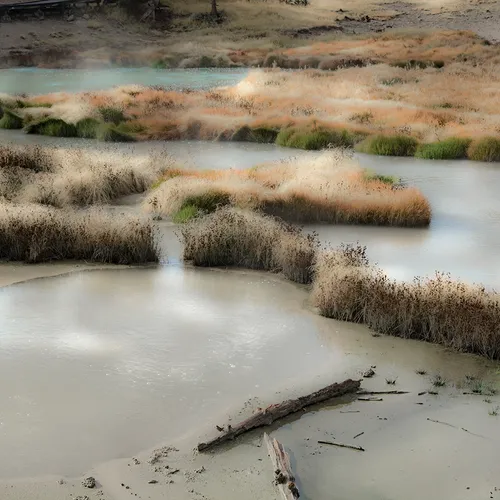Yellowstone 54
