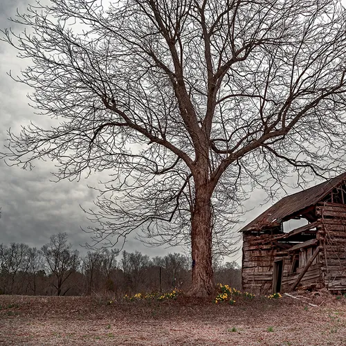 Reeseislandbarn 1