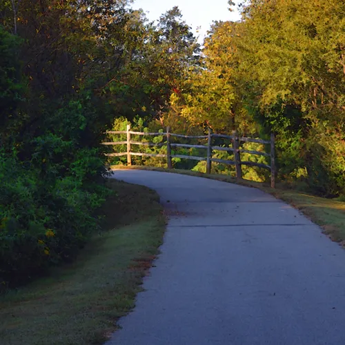 Trail