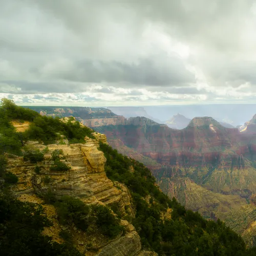 Northrim 7