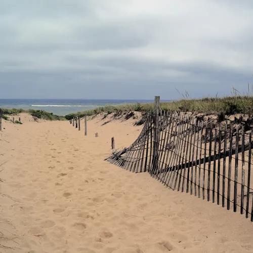 Cape Cod 5