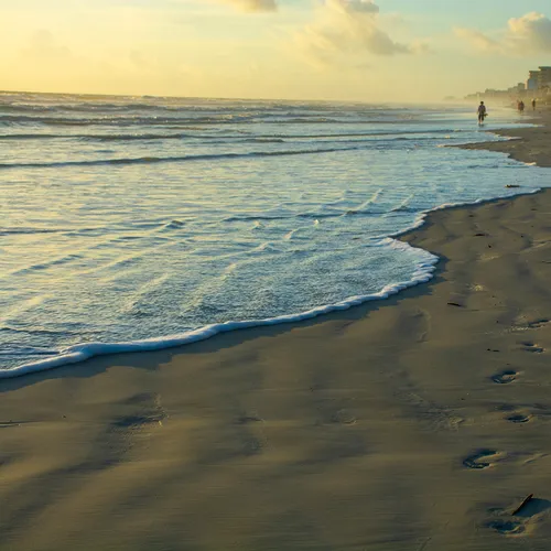 Nsb 21