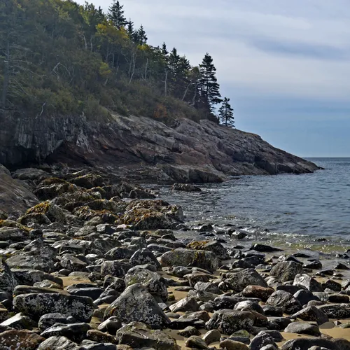 Acadia Shore Fall 1-12