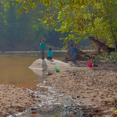 Family Fishing