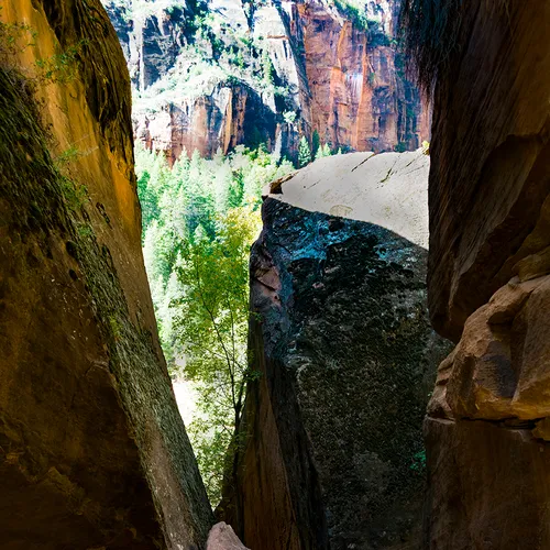 Zion 18