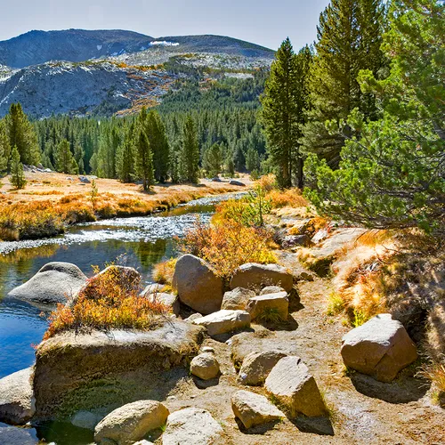 Yosemite 25