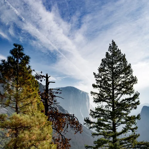 Yosemite 70