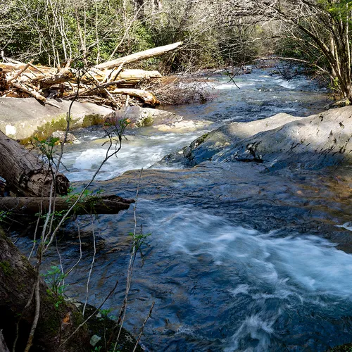 Abramefalls