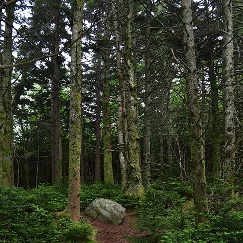 Roantrail 1