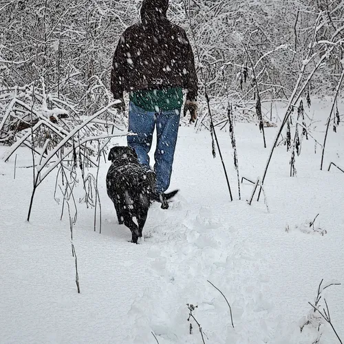 Rob And Maggie