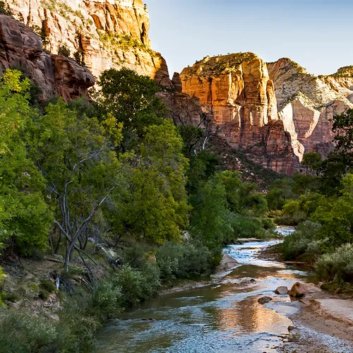 Zion 1