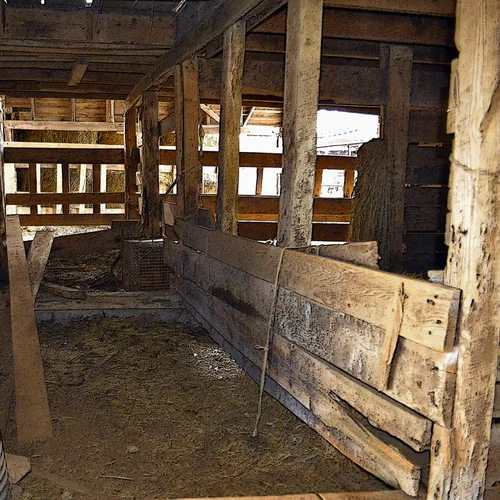 Inside Shed
