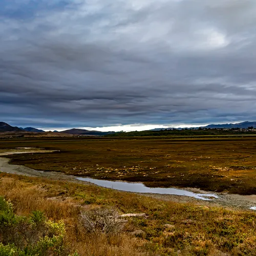 Morrobay 5