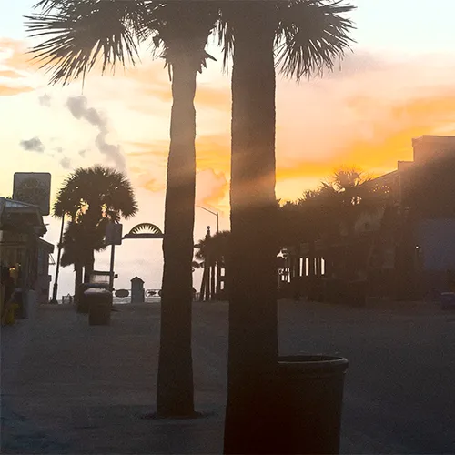 Nsb 1