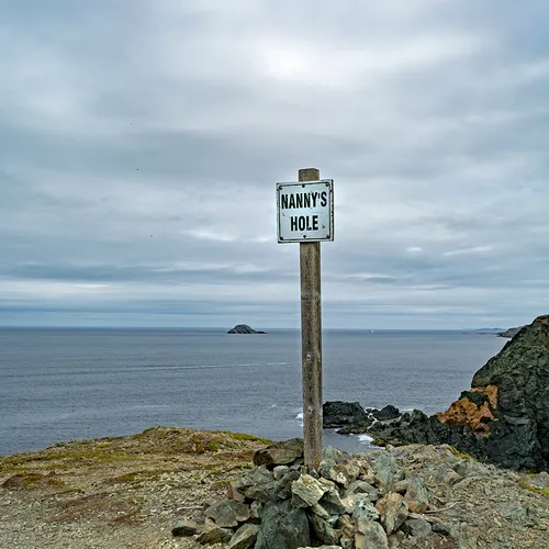 Twillingate 16