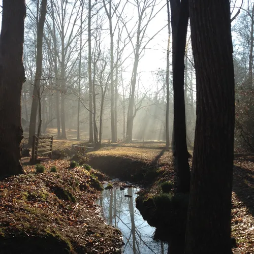 Creek 1