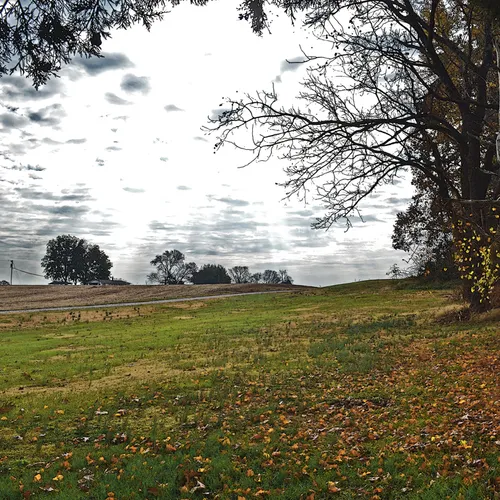 Poteat Farm 2