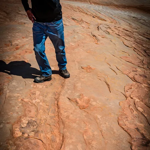 Dinosaurtracks 2